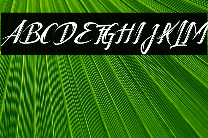 Tattofoo Trl Example 2