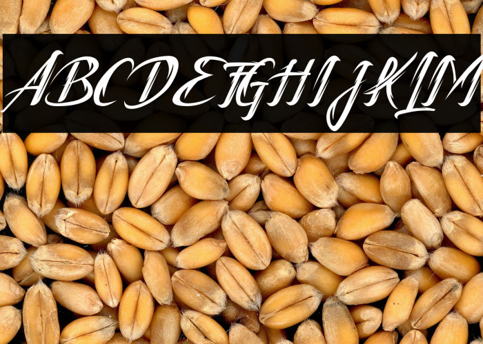 Tattofoo Trl Example 3