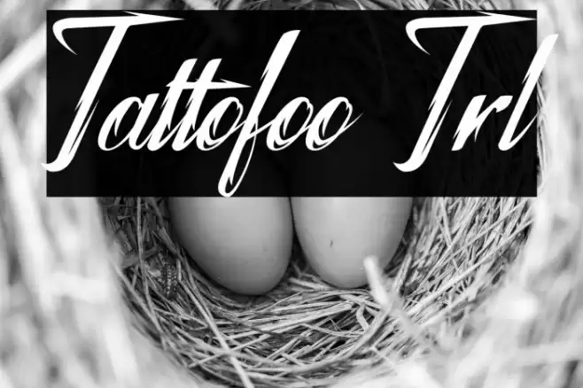 Tattofoo Trl Font examples