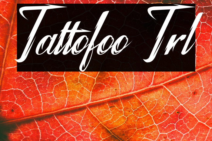 Tattofoo Trl Example 2