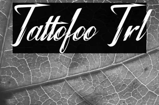 Tattofoo Trl Font examples