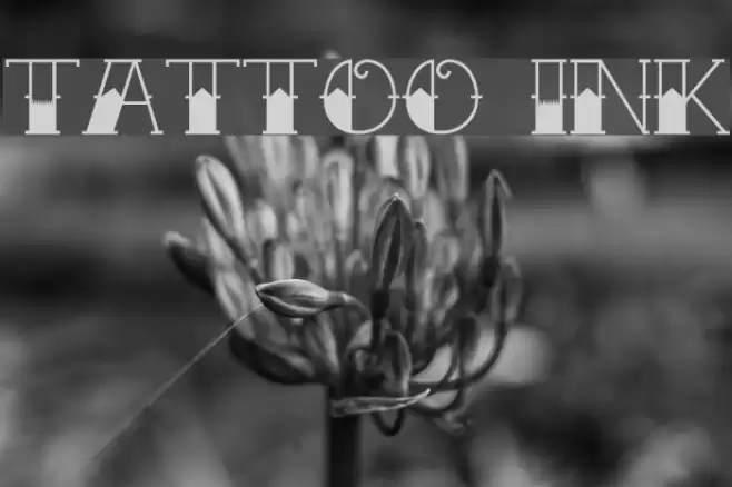 Tattoo Ink Font examples
