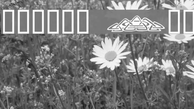 Tattoo No1 Font examples