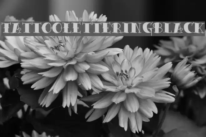 TattooLetteringBlack Fuentes examples