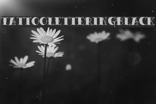 TattooLetteringBlack Fuentes examples