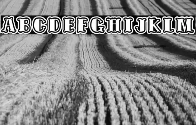 Tattooed and Proud Font examples