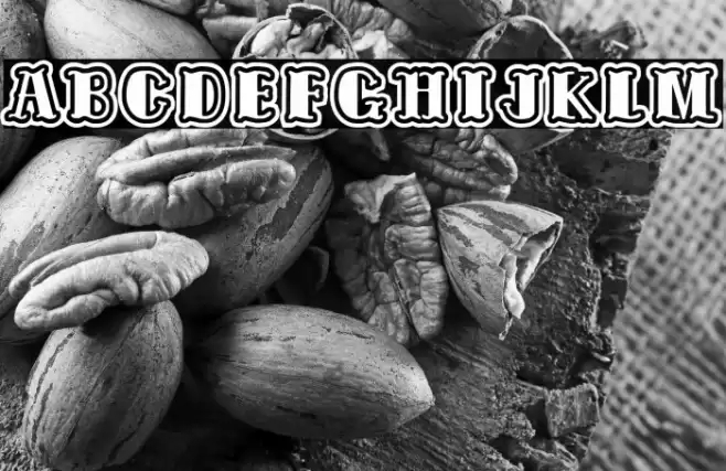 Tattooed and Proud Font examples