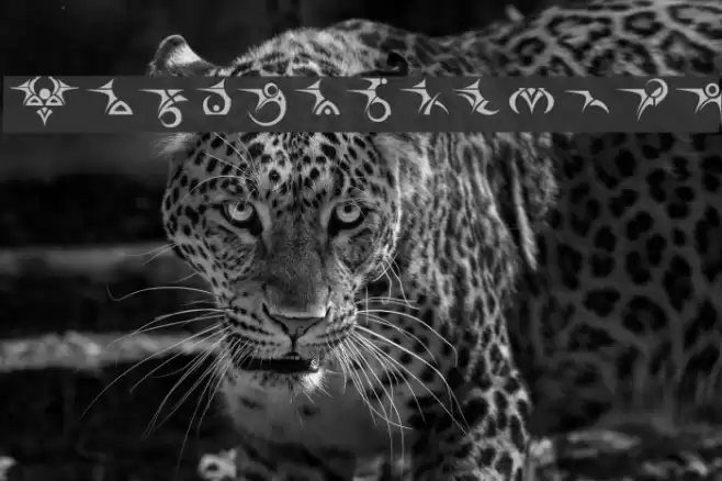 Tattooz 1 Font examples