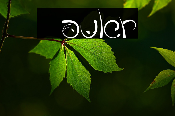 Tauler Font examples