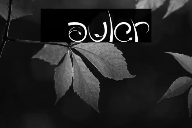 Tauler Font examples