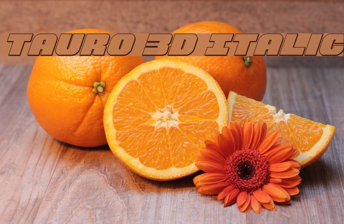 Tauro 3D Italic Font examples
