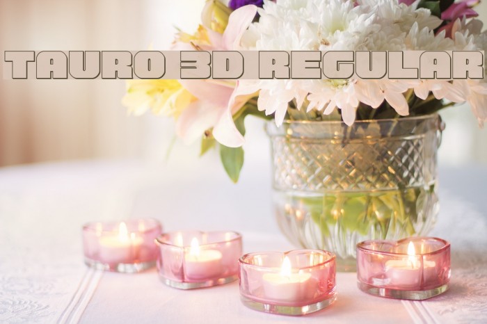 Tauro 3D Regular Font examples