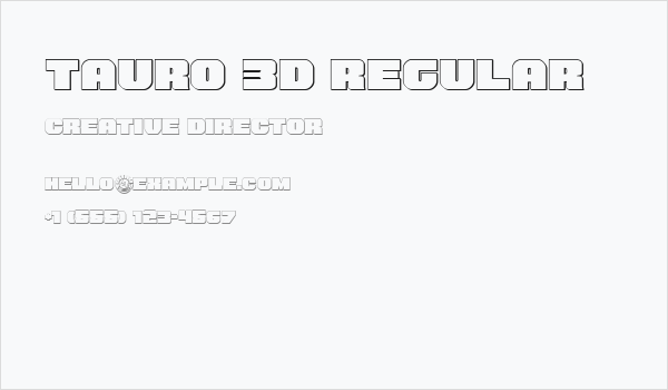 Tauro 3D Regular Business Card