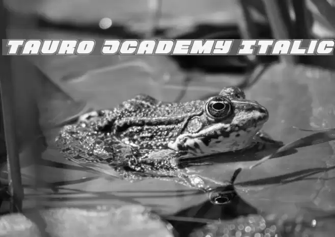 Tauro Academy Italic Font examples