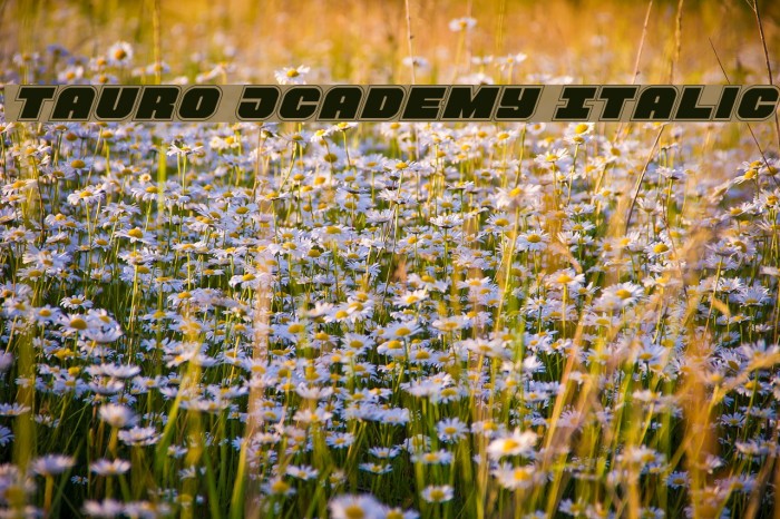 Tauro Academy Italic Font examples
