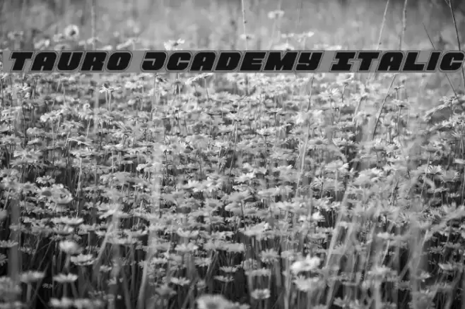 Tauro Academy Italic Font examples