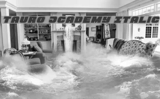 Tauro Academy Italic Font examples