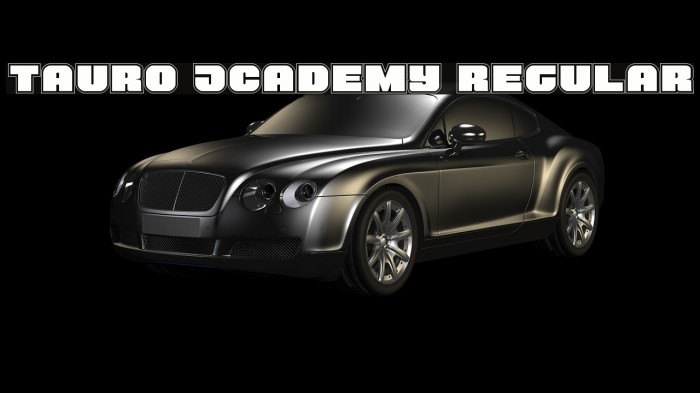 Tauro Academy Regular Example 1