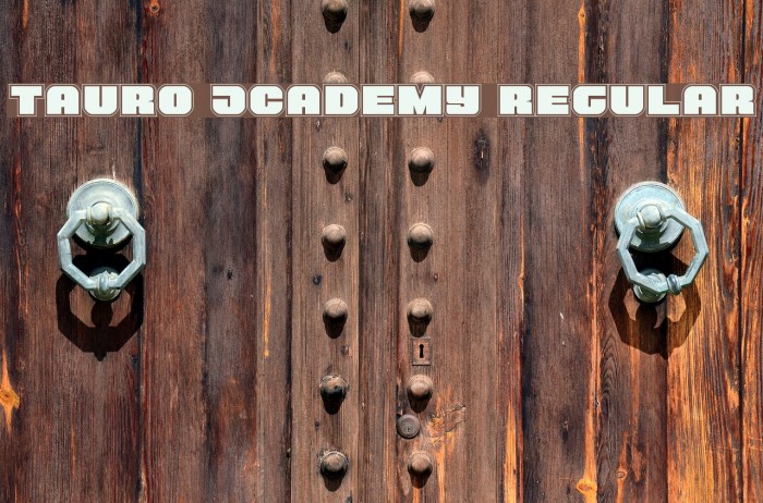 Tauro Academy Regular Example 2