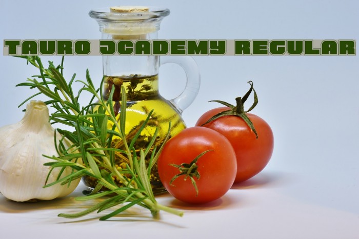 Tauro Academy Regular Example 3