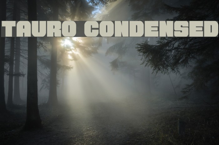 Tauro Condensed Font examples