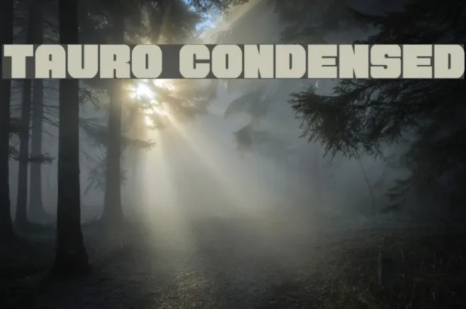Tauro Condensed Example 3