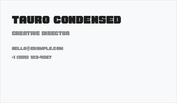 Tauro Condensed Business Card
