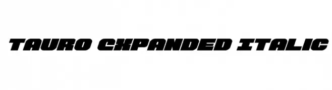 Tauro Expanded Italic 
