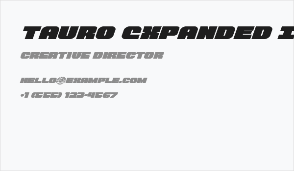 Tauro Expanded Italic Business Card