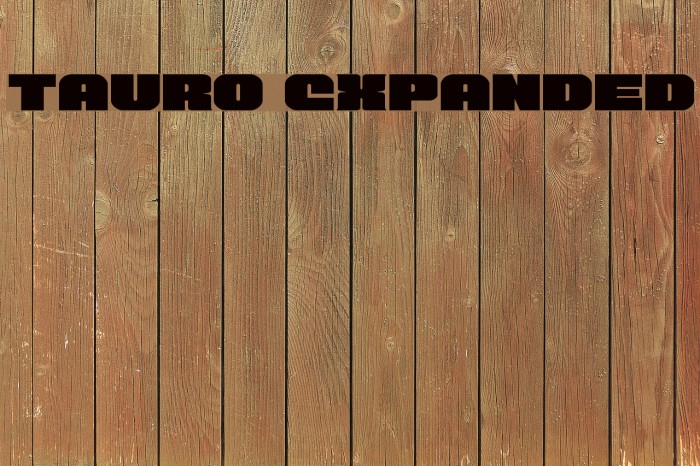 Tauro Expanded Font examples
