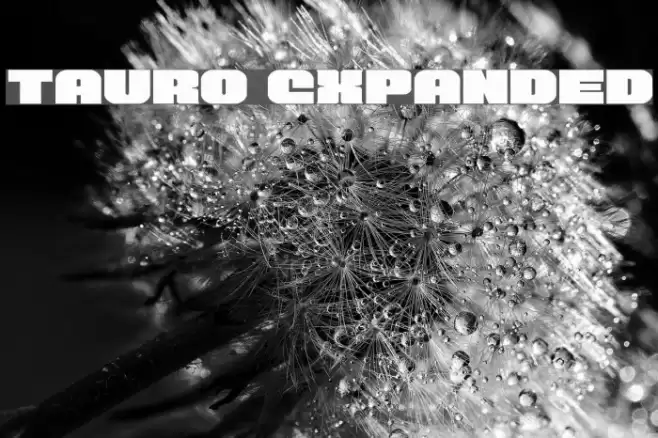 Tauro Expanded Font examples