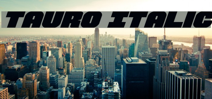 Tauro Italic Font examples