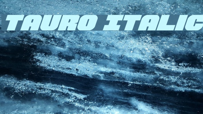 Tauro Italic Font examples