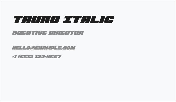 Tauro Italic Business Card