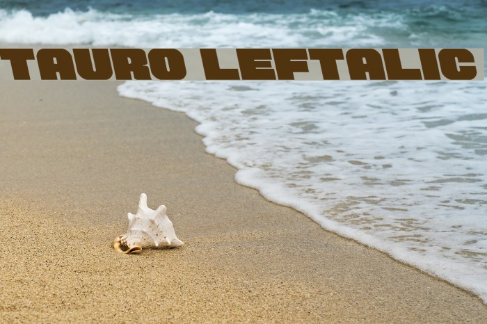 Tauro Leftalic Font examples