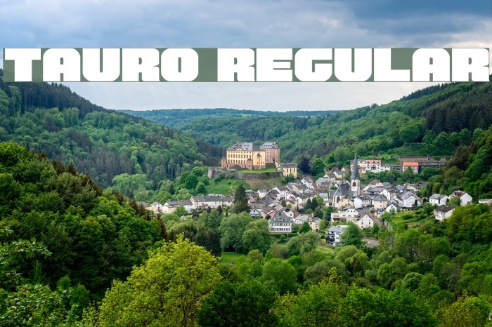 Tauro Regular Font examples