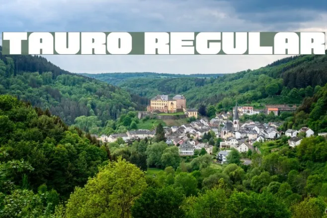 Tauro Regular Example 1