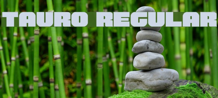 Tauro Regular Font examples