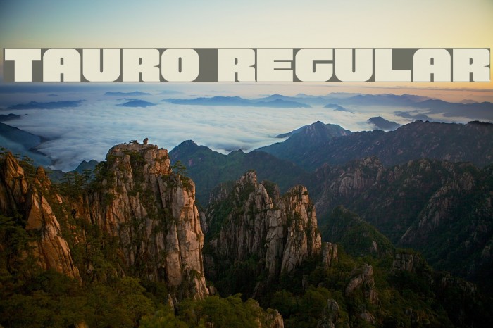 Tauro Regular Font examples