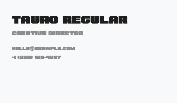 Tauro Regular Business Card