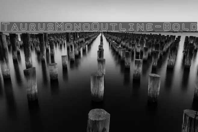 TaurusMonoOutline-Bold 字体 examples