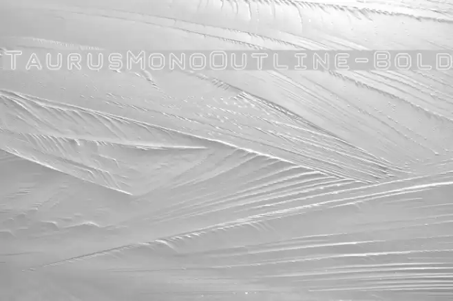 TaurusMonoOutline-Bold 字体 examples