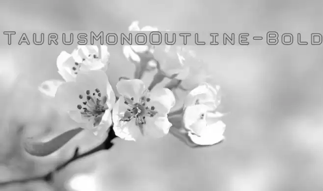 TaurusMonoOutline-Bold 字体 examples