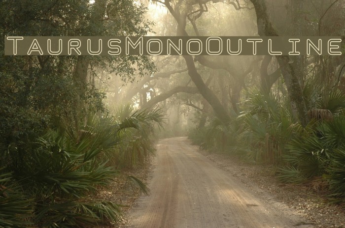 TaurusMonoOutline Font examples