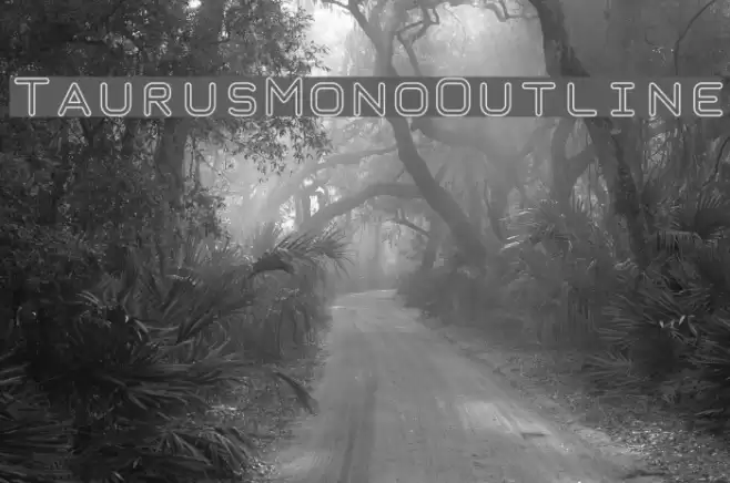 TaurusMonoOutline Font examples