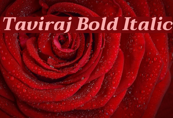 Taviraj Bold Italic Font examples