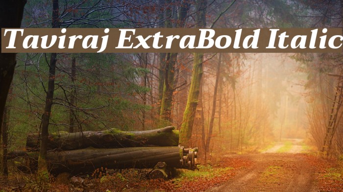 Taviraj ExtraBold Italic Font examples