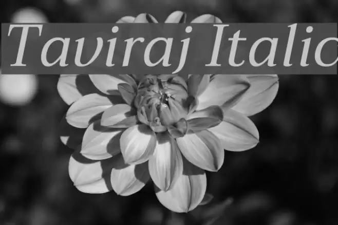 Taviraj Italic Font examples