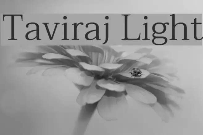 Taviraj Light Font examples