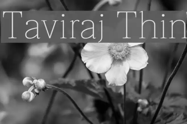 Taviraj Thin Font examples